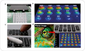 3D Shape and Elasticity Representation by the Tactile Display