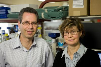 Dr. Geoff Lindeman, Dr. Jane Visvader, Walter and Eliza Hall Institute