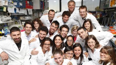 Luigi Naldini's Group