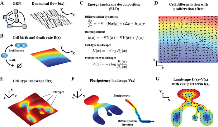 An illustration of the energy landscape decomposition (ELD) framework.