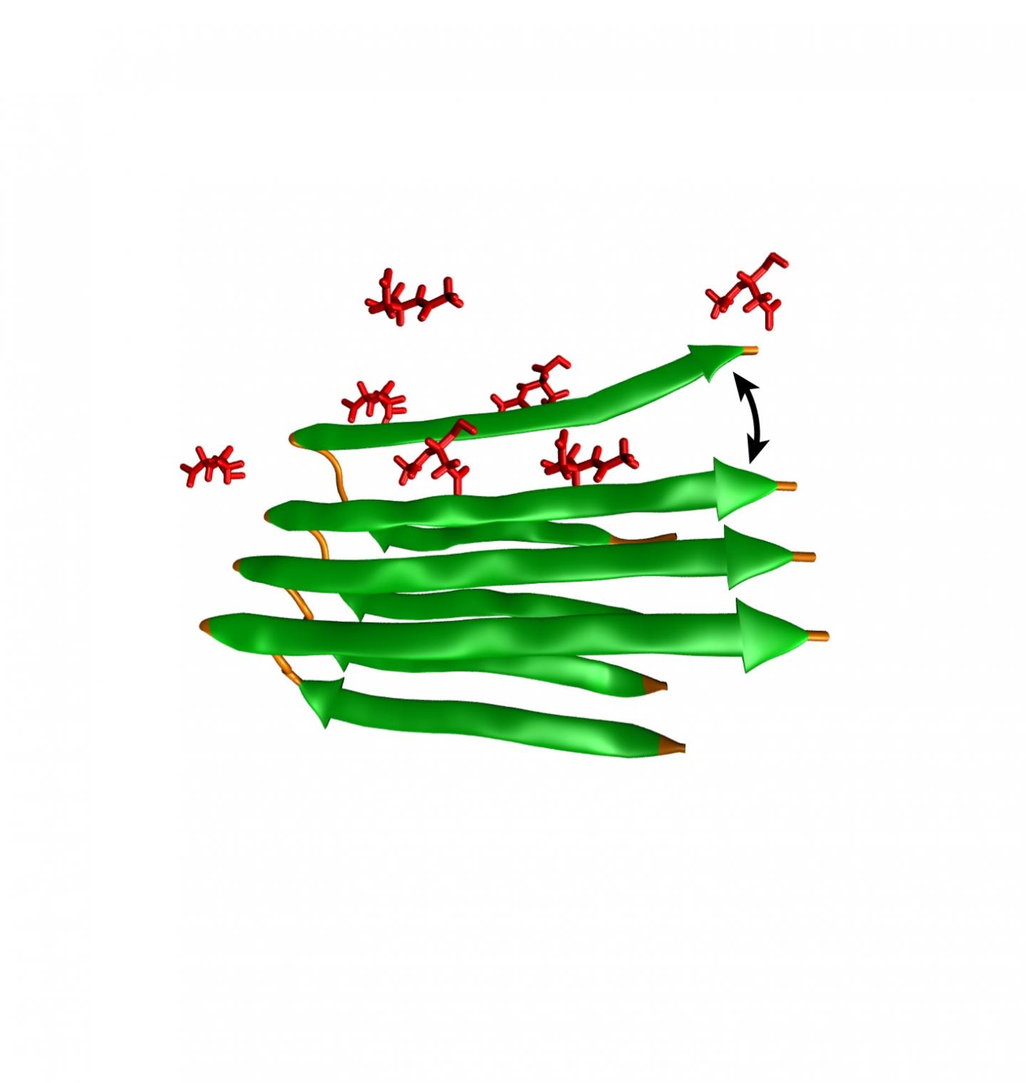 NAA Molecules and Amyloid-Beta