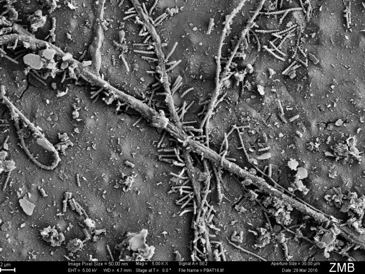 Direct Evidence of Biodegradation of Polymers in Agricultural Soil (1 of 5)