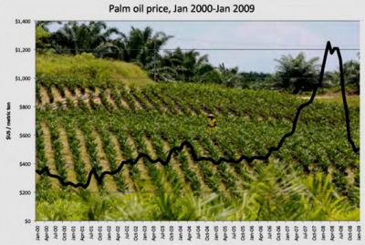 Palm Oil Prices