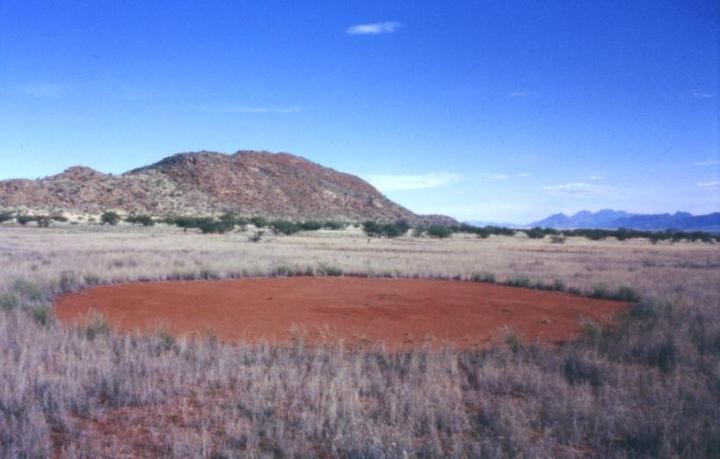 Namibian Fairy Circles