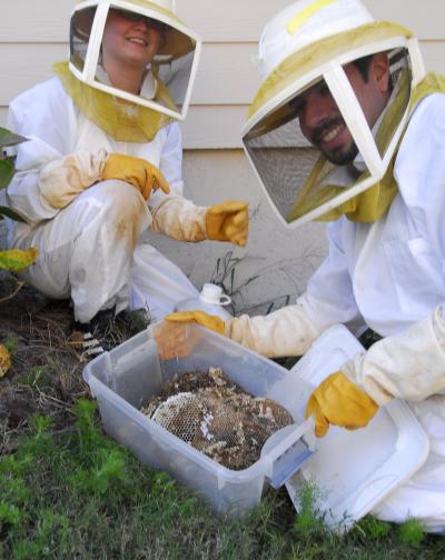 Yellow Jacket Collection