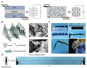 Design, characterization and mechanical properties of SHARK