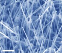Nanowires May Boost Solar Cell Efficiency