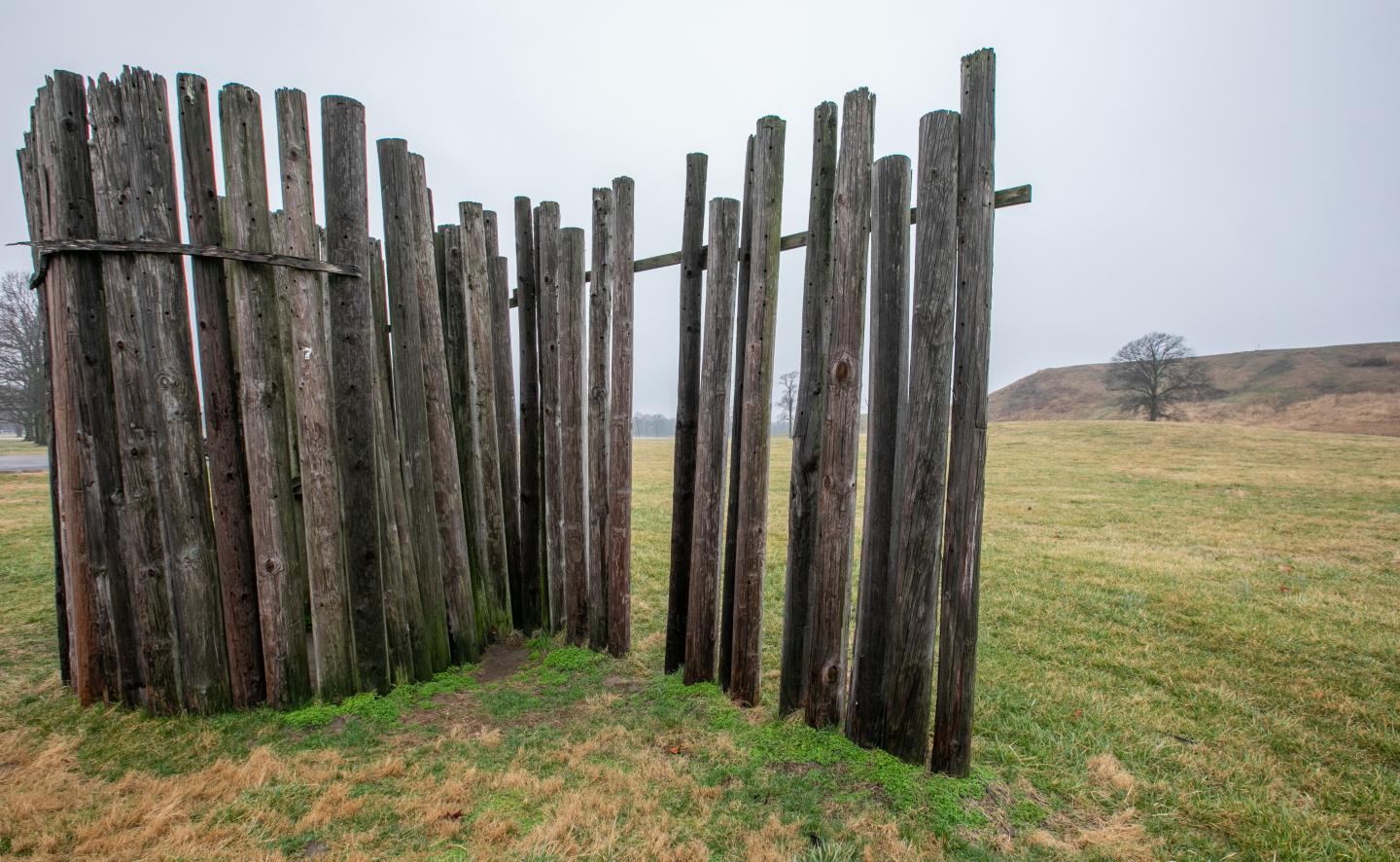 Cahokia Mounds State Historic Site