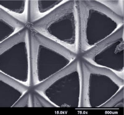 UC San Diego NanoEngineers Aim to Grow Tissues with Functional Blood Vessels (1 of 2)