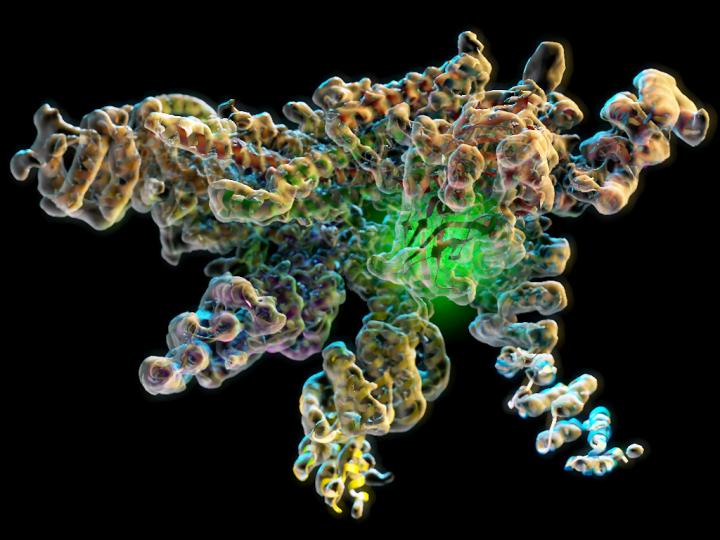 Crouching Protein, Hidden Enzyme