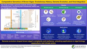 Unraveling Brown Algae's Evolutionary Pathways.