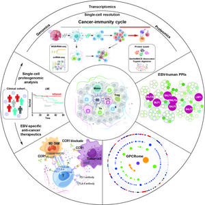 Single-cell proteogenomic analysis identify GPCR signaling contributing to immune characteristics of the microenvironment and the process of EBV-induced lymphomagenesis