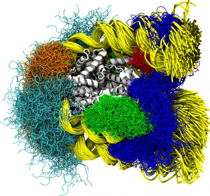 Three microseconds from the life of a nucleosome