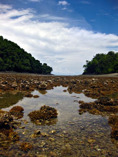 Pacific Coral Reefs Collapsed for Thousands of Years (2 of 5)