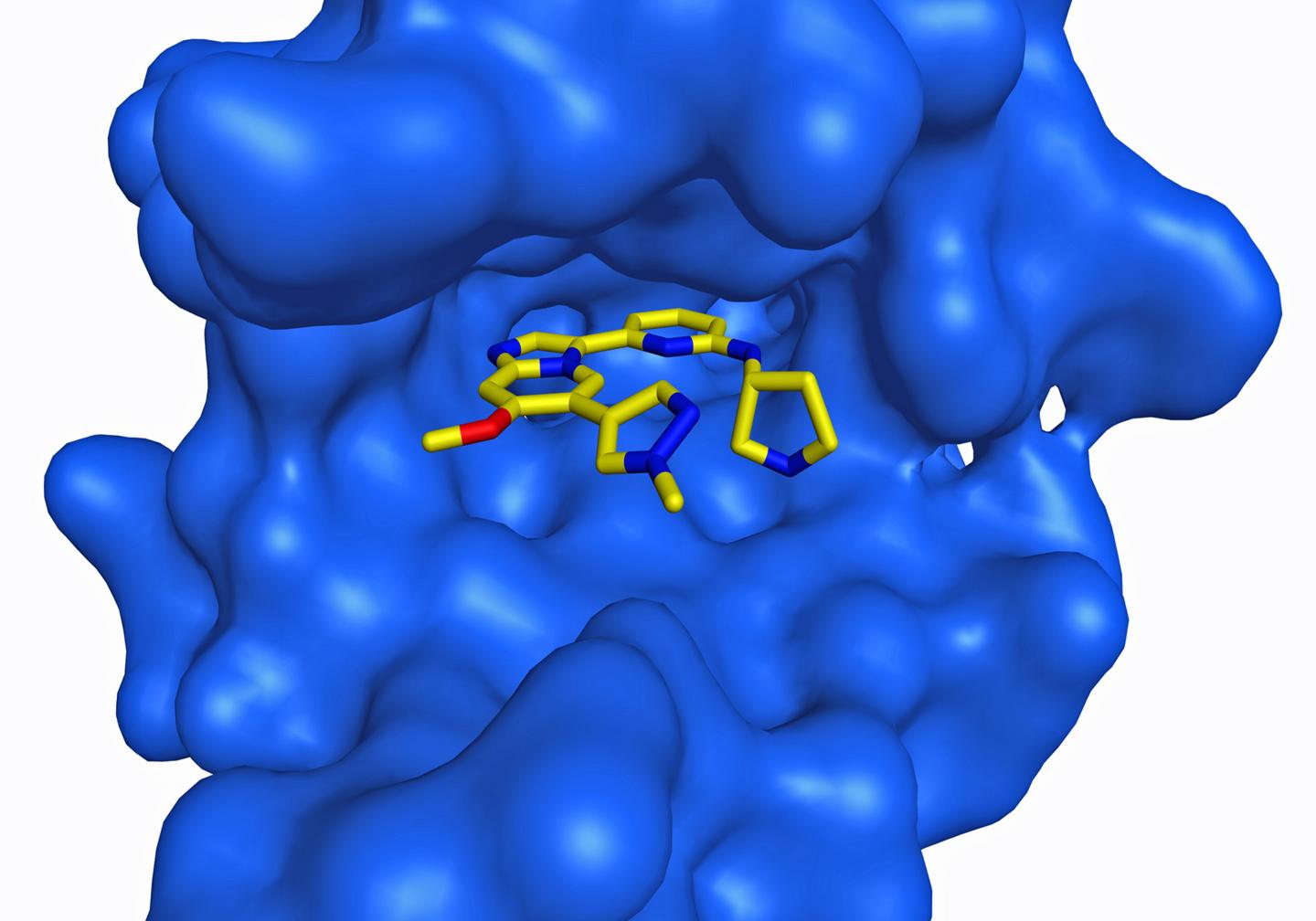 A Prospective Drug Blocking a Drug Resistance Path