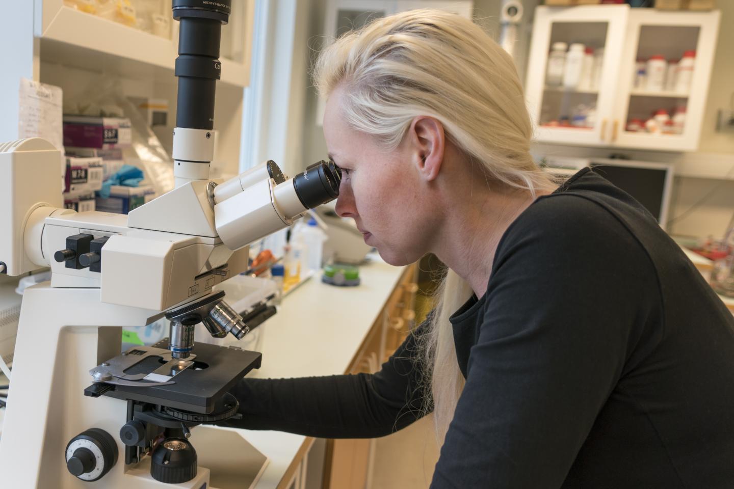 Nathalie Scheers' Research Focuses on the Cellular effects of Dietary Metals