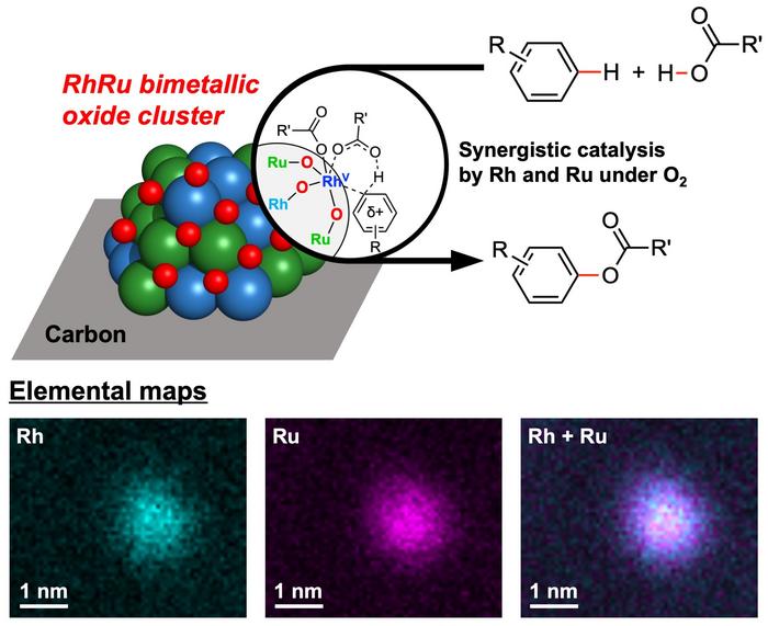 RhRu bimetallic oxide cluster catalyst for C–H/O–H coupling of arenes and carboxylic acids with molecular oxygen