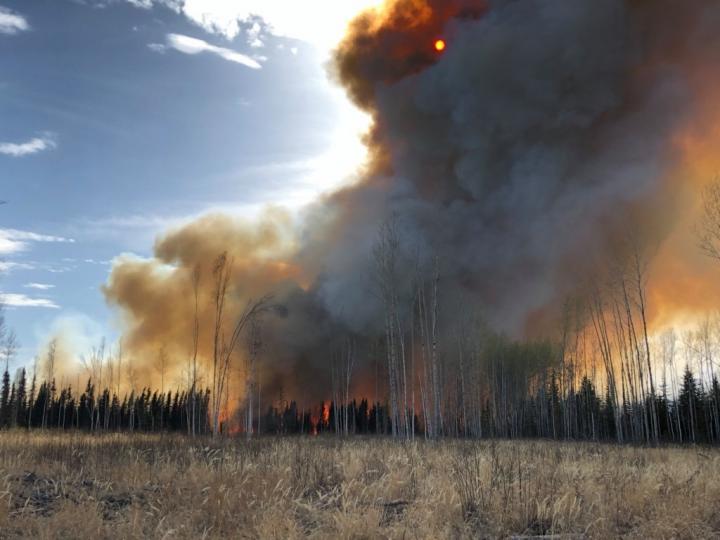 Peatland fire