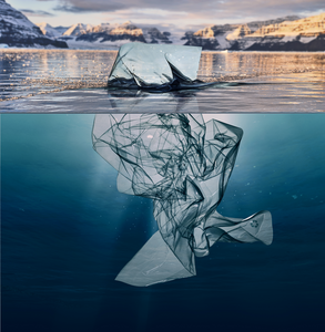 Photo of a plastic bag in water