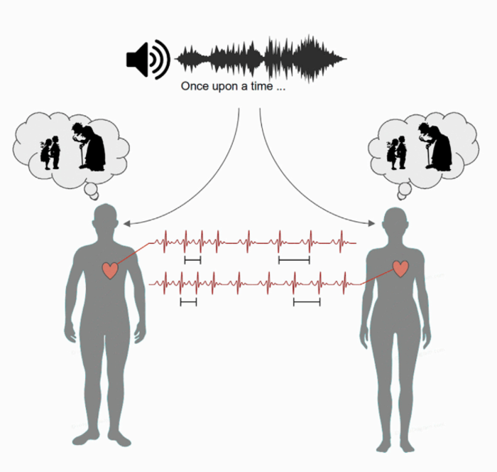 Stories lead to heartbeat synchronization