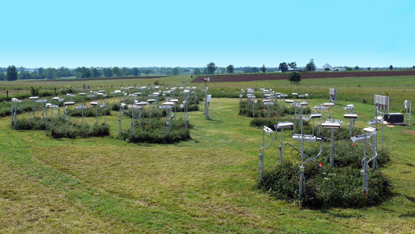Grassland Test Plot