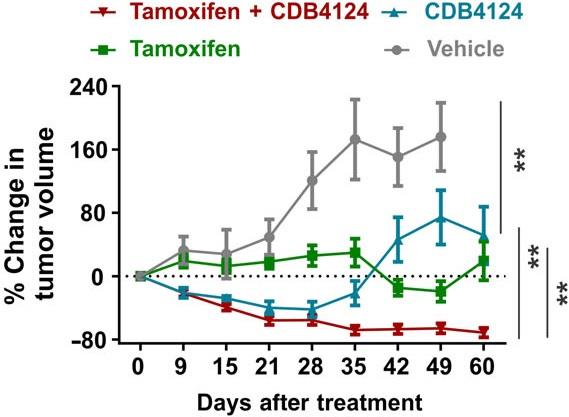 Percent Change in Tumor Volume