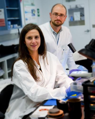 Combining Expertise in Human Tissue Engineering and Malaria Parasite Biology