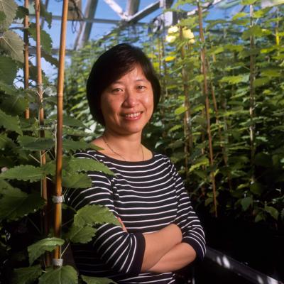 C.J. Tsai, University of Georgia