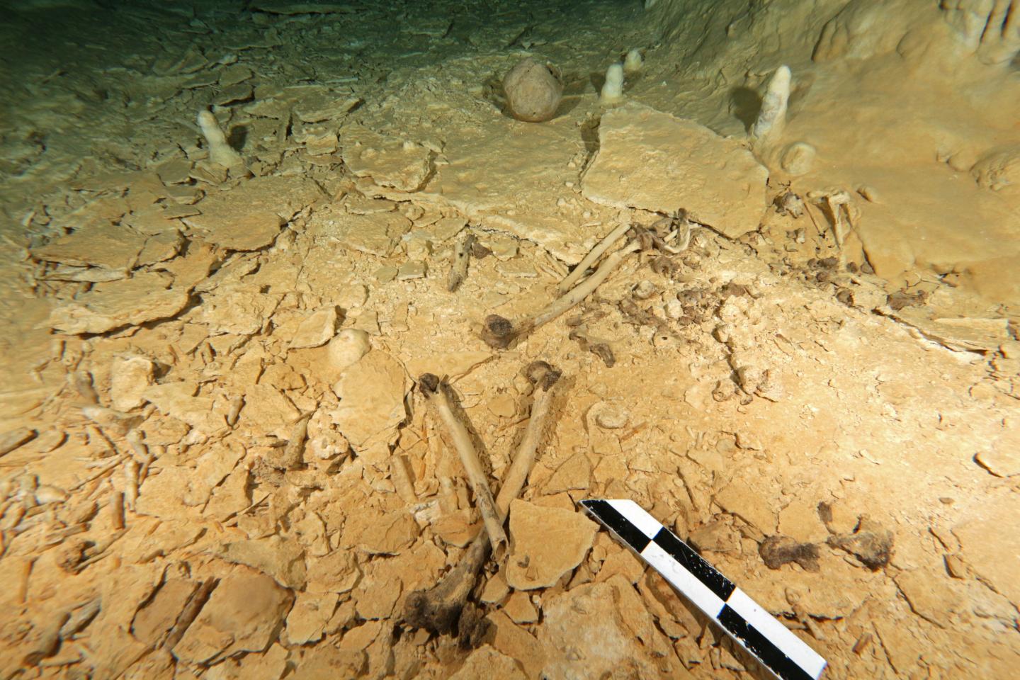 Prehistoric Skeleton Discovered in Southern Mexico