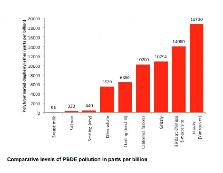 Relative Levels of BPDE Pollution