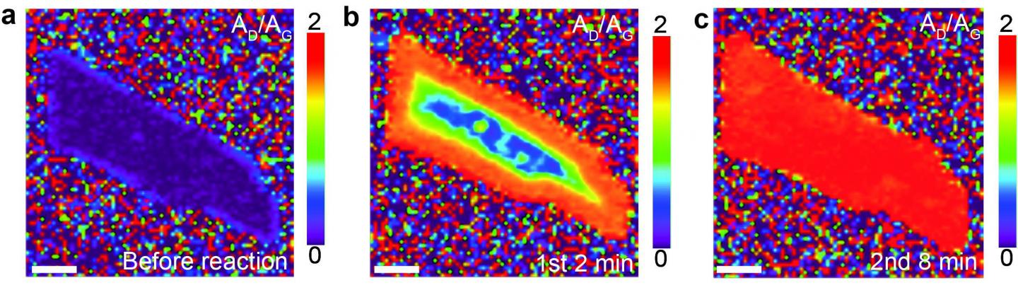 Hydrogenation of Bilayer Graphene via Birch-Type Reaction Begins from the Edges
