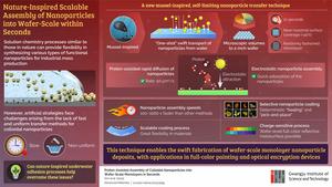 Mussel-inspired proton-assisted nanoparticle transfer technique