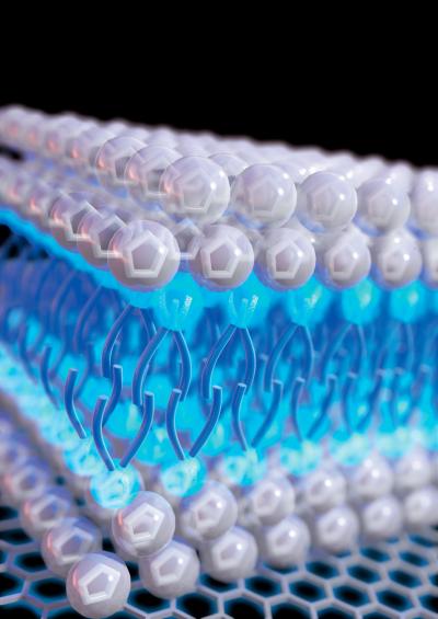 Illustration of Detergent-Like Ionic Liquids on An Electrode Surface