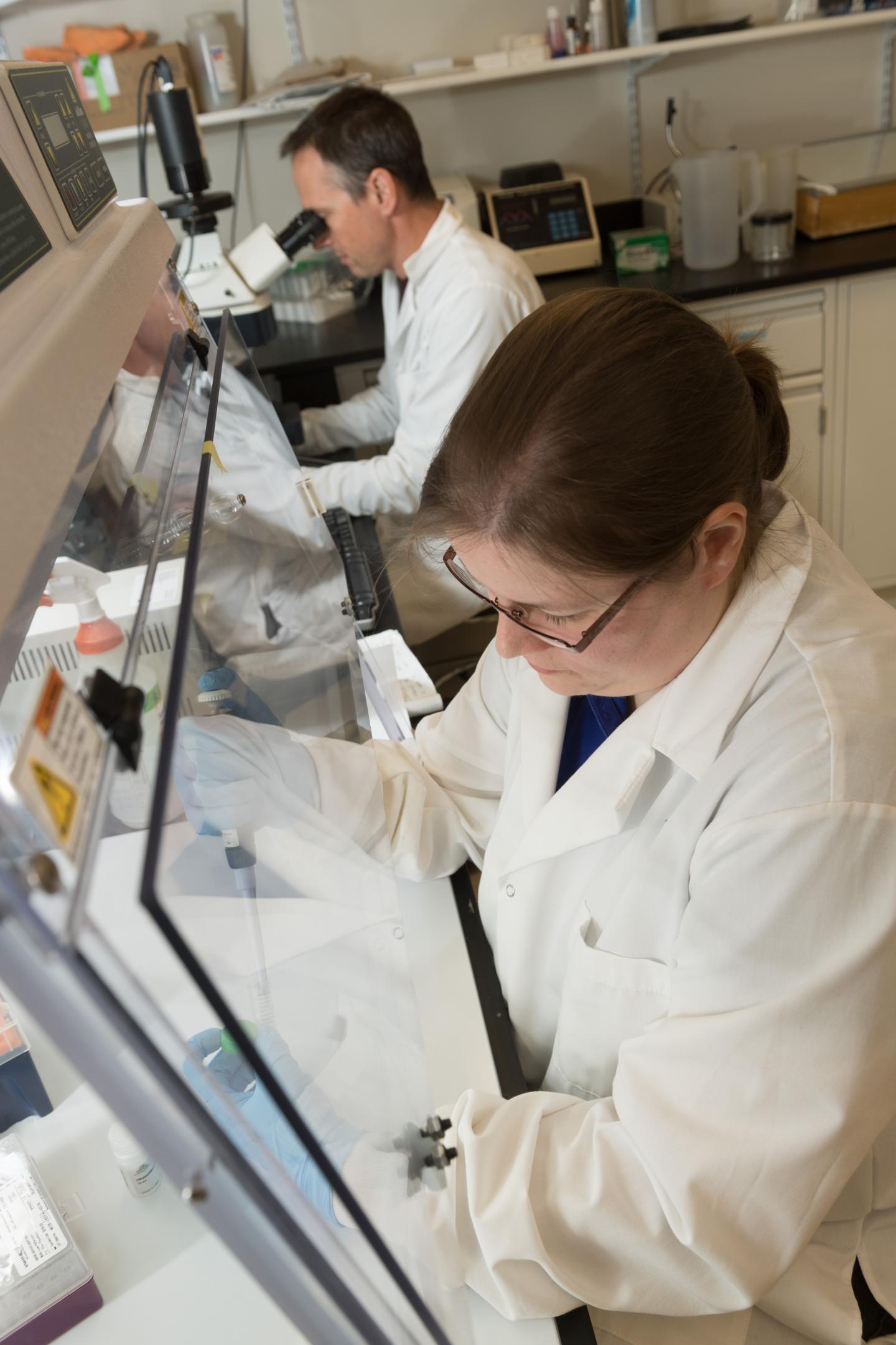 Ruckert Ebel, Colorado State University