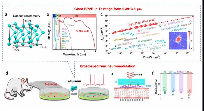 Giant infrared bulk photovoltaic effect in tellurene for broad-spectrum neuromodulation