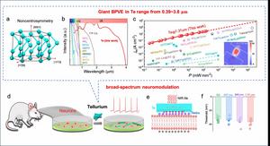 Giant infrared bulk photovoltaic effect in tellurene for broad-spectrum neuromodulation