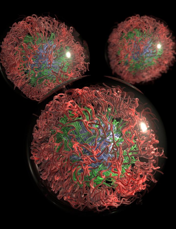 Intrinsically Disordered Proteins