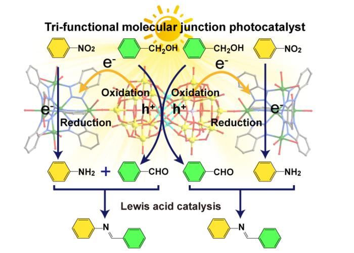 One-pot synthesis of N-Benzylideneaniline by photocatalytic cascade reactions