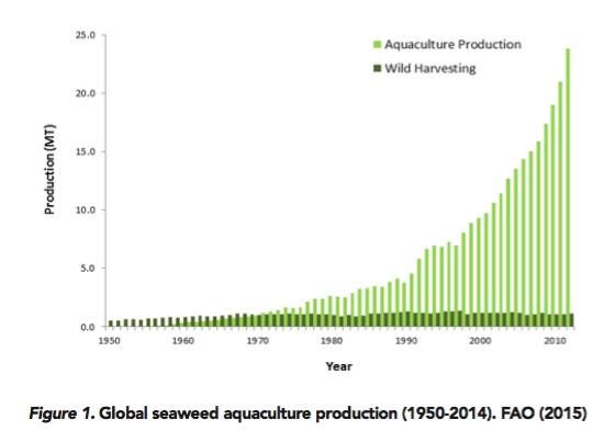 Growth of Seaweed Farming since 1950s