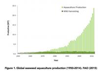 Growth of Seaweed Farming since 1950s