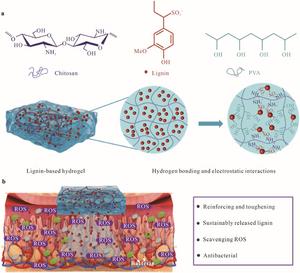 New Lignin-Based Hydrogel Breakthrough for Wound Healing and Controlled Drug Release