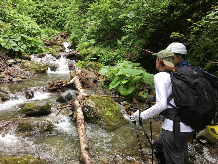 Field work in Japan