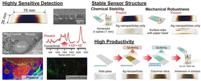 Highly sensitive molecular detection with chemical stability and mechanical robustness through long-range molecule-plasmon interactions.