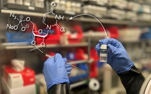 complex biomolecule