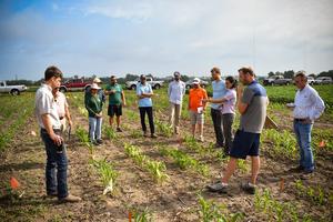 First evidence of tolpyralate sensitivity in corn