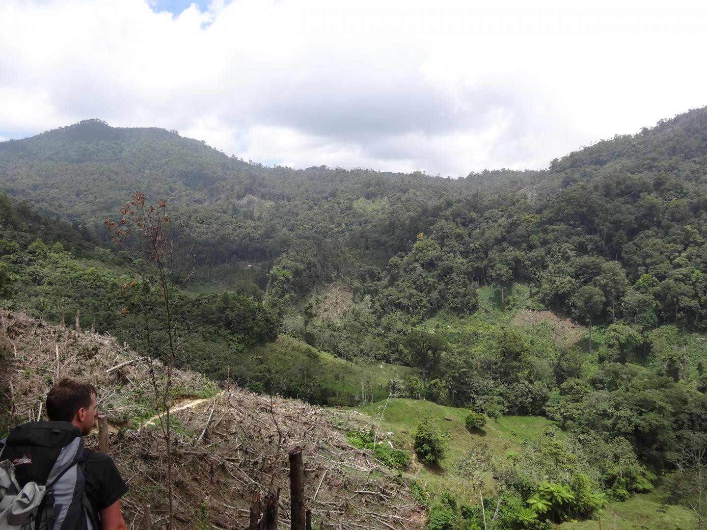 Deforestation in Honduras