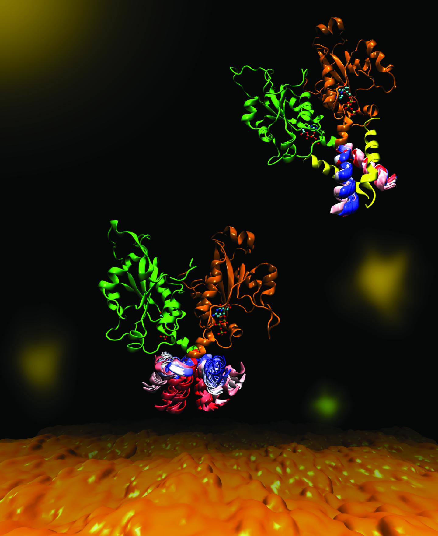 CCT Molecular Dynamics