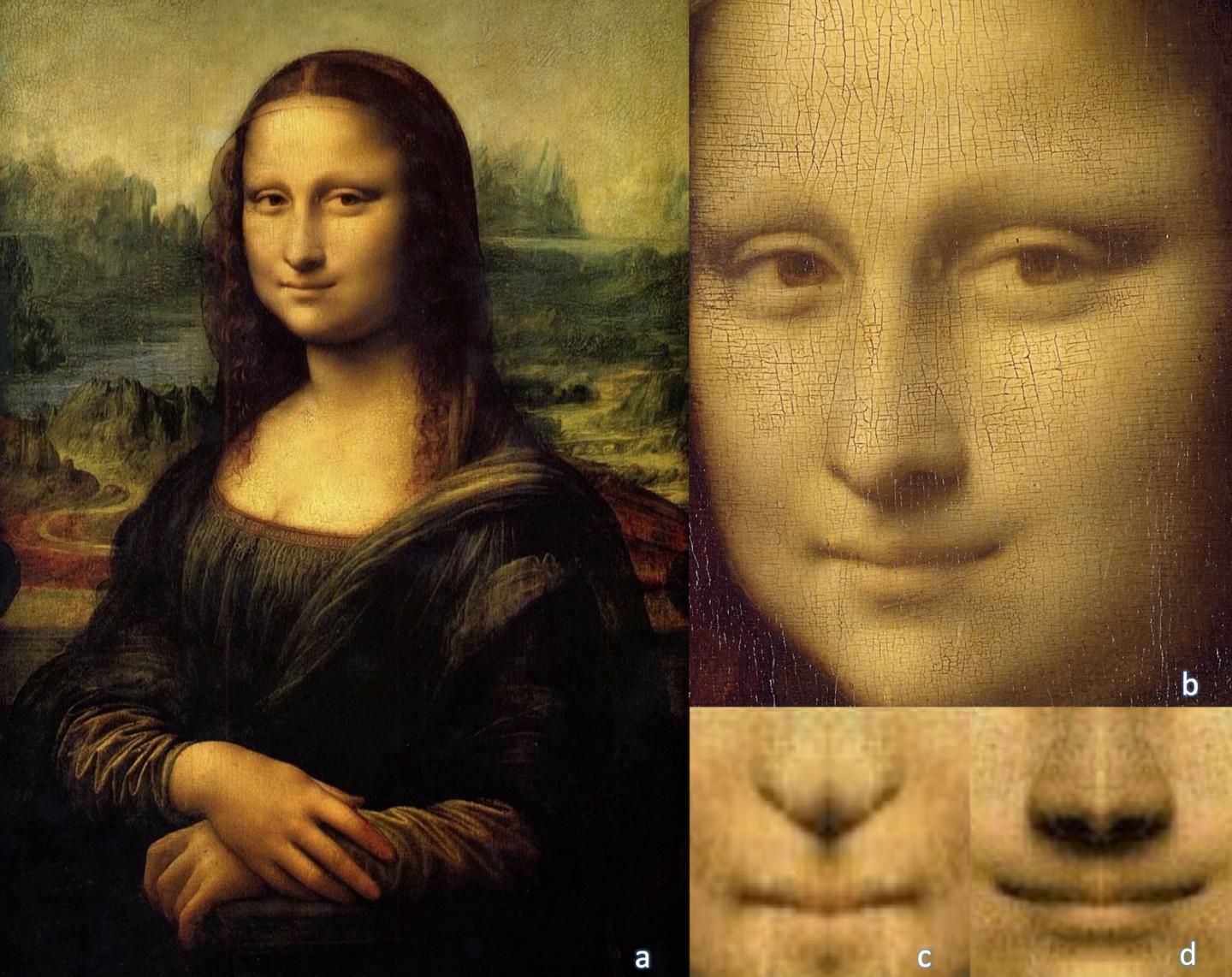 B: The face of Mona Lisa C: Chimeric image of the left side of the Mona Lis...