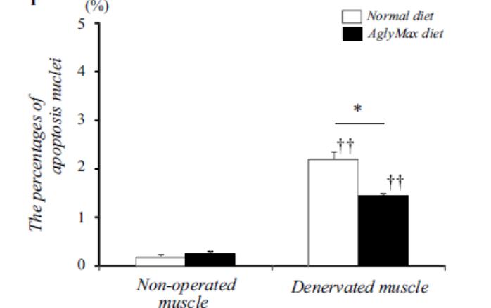 Comparison of Muscle Cell Ceath