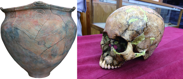 Jomon pottery and skull
